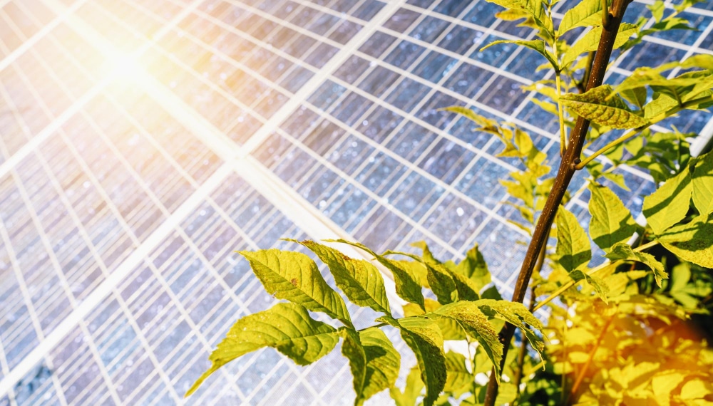 nachhaltigkeit photovoltaik